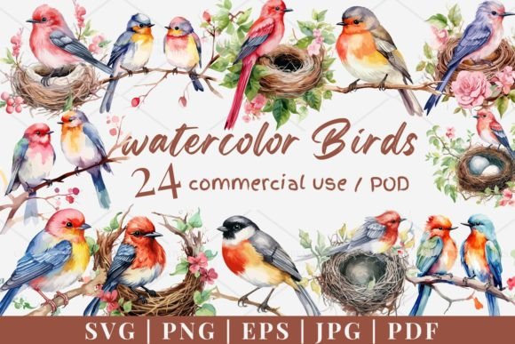24 Watercolor Birds Vector Graphics & Illustrations