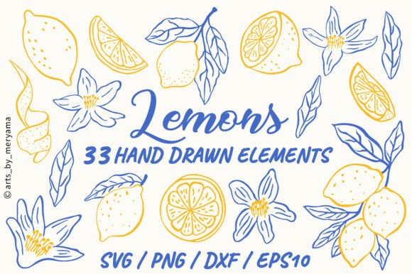 33 Hand Drawn Lemon Botanical Fruit PNG Graphics & Illustrations