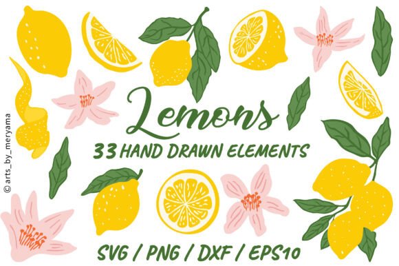 33 Lemon Citrus Graphics & Illustrations