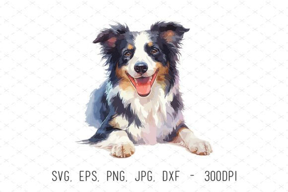 Cute Watercolor Border Collie Dog Graphics & Illustrations