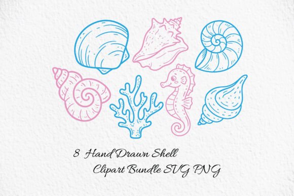 Hand Drawn Shell Clipart SVG PNG: Graphics & Illustrations