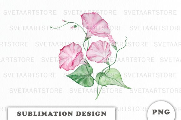 Watercolor Morning Glory Flowers PNG Graphics